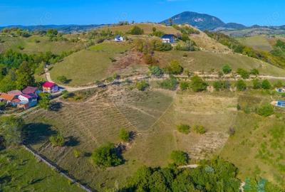 Teren extravilan 6,014mp | Holbav | BRASOV | COMISION 0| - 10