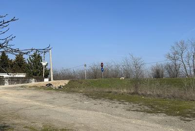 Teren de 1800 mp, în Nord - 7