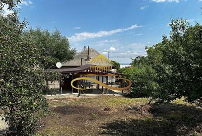 Casa batraneasca cu 1008 mp teren de vanzare in Sarata / ... - 12