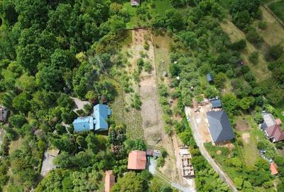 Valea Borcutului,Teren intravilan de vanzare, intre case! Valea Borcutului,Teren intravilan de vanzare, intre case! - 10