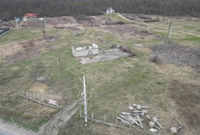 Teren Construcții intravilan de 3758 mp, în Mogoșești - 9