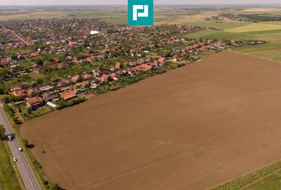 Teren agricol extravilan de 28500 mp, în Șofronea - 6