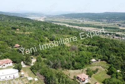 Teren de 2270 mp, în Valea Brazilor - 11