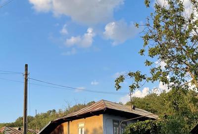 Casă cu 2 camere cu Teren 2595 Mp în Negrilești - 1