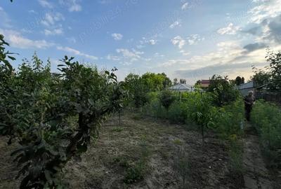 Casa Lacul Sarat de vanzare - 3