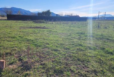 Teren superb de 533mp construibil zona perfecta Brasov - 4
