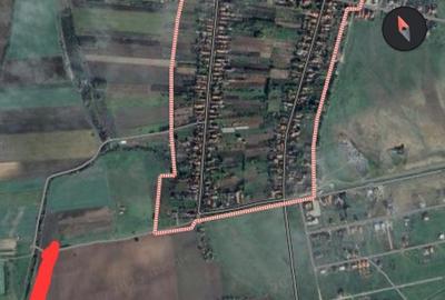 Vand 2 ha teren pa?une!! - 3