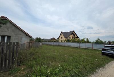 Teren constructii 2700 m2 Dumbrava Ro?ie - 1