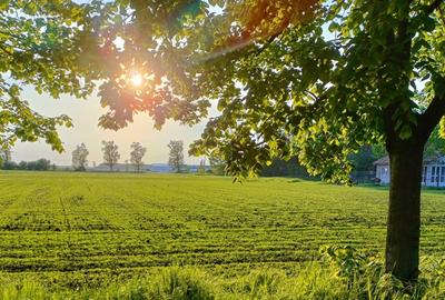 Teren Construcții intravilan de 500 mp, în Central - 2