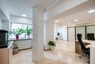 Unirii - Piata Alba Iulia, Rond, Spatiu de birouri, 230 mp - 10