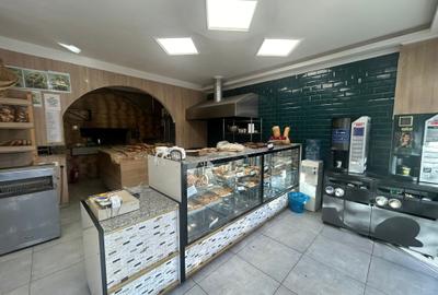 Pantelimon,Chisinau,Piata Delfinului,250 mp,toate utilitatile, - 3