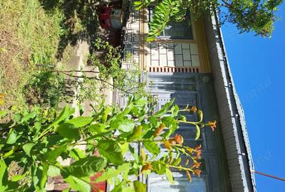 Casă cu 4 camere cu Teren 2093 Mp în Murgești - 4