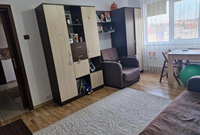 Apartament cu 2 camere nedecomandat, mobilat în Șagului - 5