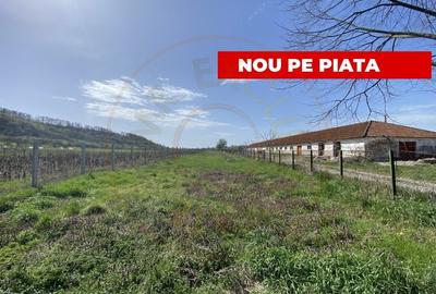 Teren intravilan cu grajduri si anexe – Aninoasa AG - 1