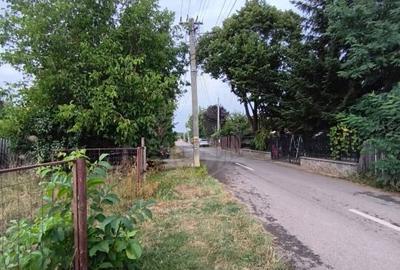 TEREN PAULESTI//17211 MP// INTRAVILAN - 4