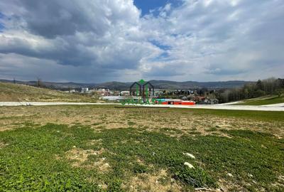 Teren intravilan - Calea Lui Traian - Zona Cetatuia - 11