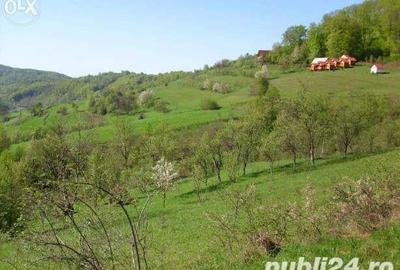 Teren de 18000 mp, în Moneasa - 7