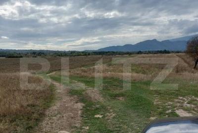 Teren de vanzare in Rasnov zona Glejerie, 10.000 mp - 6