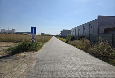 Teren 4000 mp Drumul intre Tarlale - 4
