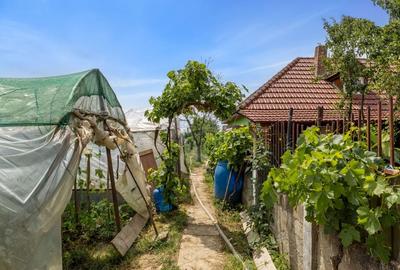 Casă individuală cu 4 camere cu Teren 2422 Mp în Șiria - 17