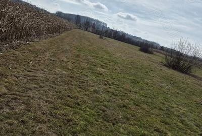 Teren de 1400 mp, în Central