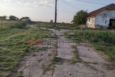 Ferma Zootehnică Mixtă – Cernateaz, Timiș | 9,5 ha | Hale Moderne, Casă 20 - 3