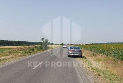 Samurcasi - Drumul Guliei, acces drum asfaltat - 1