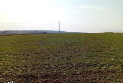 Spațiu comercial, în Biharia - 2