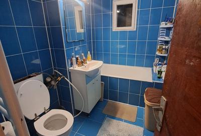 Apartament cu 2 camere semidecomandat în Craiovița Nouă - 7