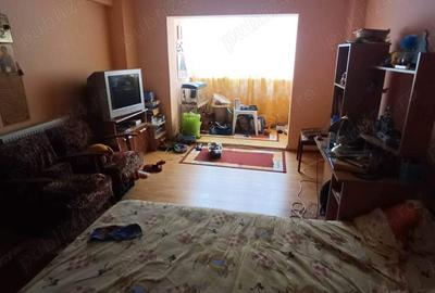 Apartament cu 2 camere decomandat în Satu Nou - 10