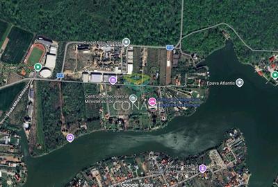 Teren de 5004 mp, în Ciolpani - 1