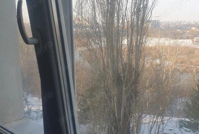 Garsonieră nedecomandată în Pantelimon - 8