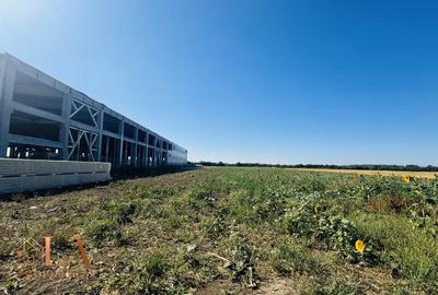 Teren agricol intravilan de 16295 mp, în Clinceni - 6