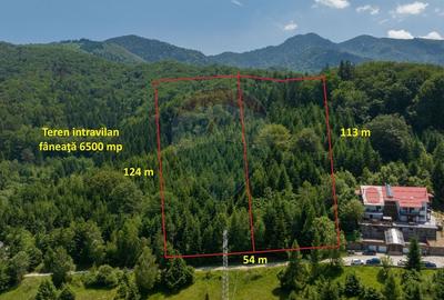 Teren intravilan, 6500 mp, Dambu Morii
