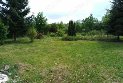 Teren de 1161 mp, în Făget - 1