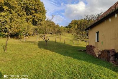 RECO Casa de vacanta in Borod - 7