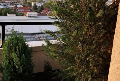 Apartament cu 2 camere în Bartolomeu - 10