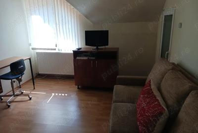 Casa frumoasa, ideala pentru 2 familii, zona linistita, localitatea Zizin, direct de la proprietar - 4