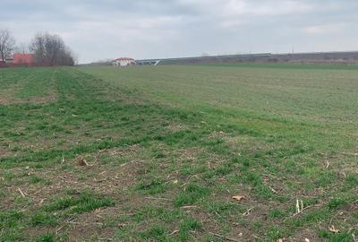 Vanzare Teren extravilan Afumati Autostrada A0 - 3