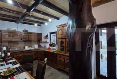 Casa noua , cocheta si complet mobilata, in mijlocul naturii - Oiejdea - 4