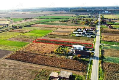 Teren intravilan de vanzare 3000 mp, Botiz, str. Sirul Mare, la doar 7 km de centrul Satu Mare - 4