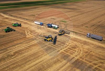 Teren Construcții extravilan de 5000000 mp, în Slobozia Ciorăști - 2