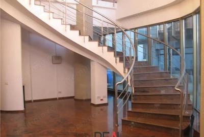 Spațiu comercial, în Titulescu - 4