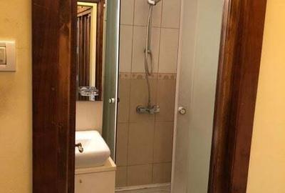 De inchiriat apartament 2 camere Piata Victoriei - 2