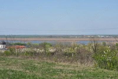 Teren de 4300 mp, în Comana - 7