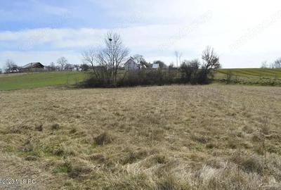 Suseni - Teren intravilan rezidential, suprafata 4000 mp Suseni - Teren intravilan rezidential, suprafata 4000 mp - 4