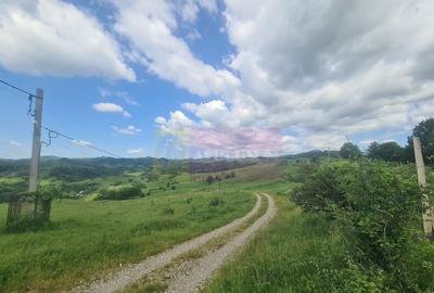 Teren intravilan de vanzare in Breaza (dezvoltare imobili... - 14