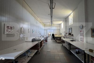 Spațiu comercial, de 1,600 mp, în Brădești - 9