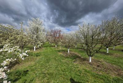 Teren intravilan de 2000 mp, în Bârsău - 2