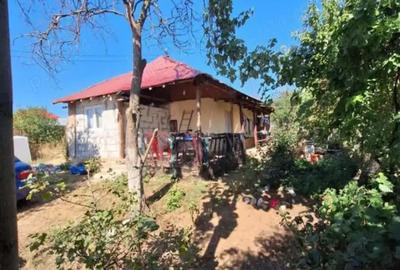 Casă cu 4 camere în Botoroaga - 9